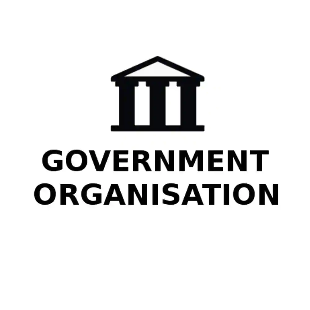 Government